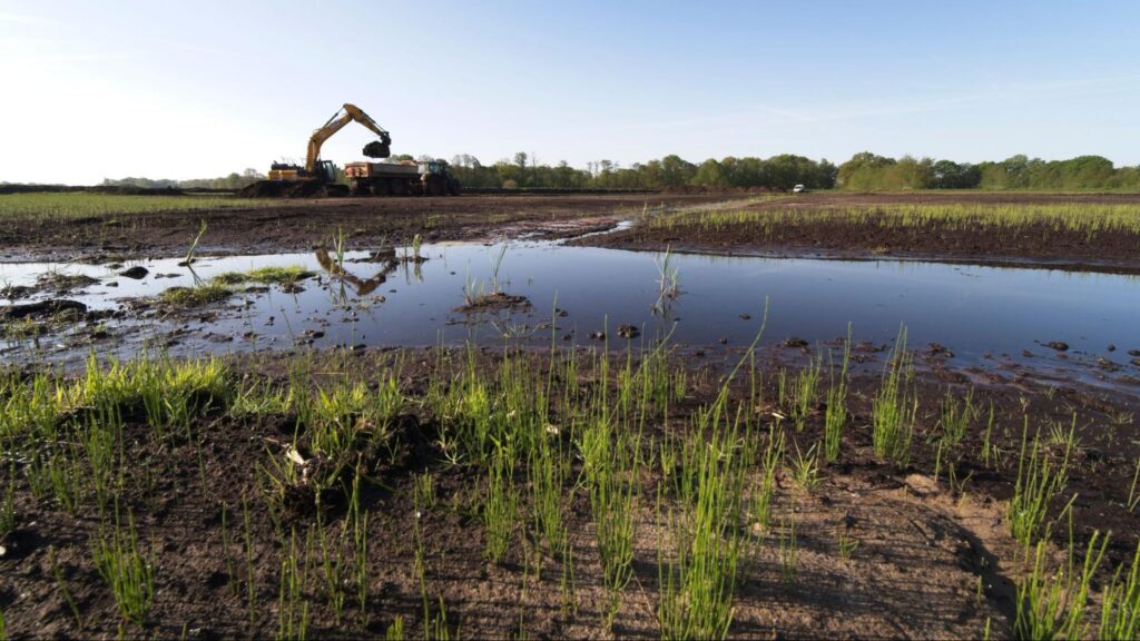 Excavator loading a dump truck during pond digging on open land with standing water.